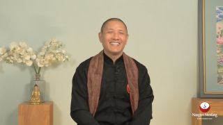 The Power of Love